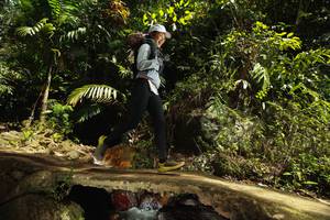 BIB: 
                            <button type="button" onclick="openModal(21749960)" class="btn btn-primary btn-sm float-right btn-popup" data-toggle="modal" data-target=".modal-high-quality">
                        <i class="fas fa-shopping-cart"></i> Add to Cart
                    </button>
                                            <button type="button" onclick="isThisMe(21749960, true)" class="btn btn-success btn-sm float-right btn-popup btn-isme hidden" data-toggle="tooltip" data-placement="bottom" title="นี่คือรูปของคุณใช่ไหม คลิกที่นี่เพื่อเอาเข้าอัลบั้ม">
                        <i class="fas fa-plus"></i> Add to album
                    </button>
                    <button type="button" onclick="isThisMe(21749960, false)" class="btn btn-warning btn-sm float-right btn-popup btn-isnotme hidden">
                        <i class="fas fa-ban"></i> Remove from album
                    </button>