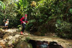 BIB: 
                            <button type="button" onclick="openModal(21740712)" class="btn btn-primary btn-sm float-right btn-popup" data-toggle="modal" data-target=".modal-high-quality">
                        <i class="fas fa-shopping-cart"></i> Add to Cart
                    </button>
                                            <button type="button" onclick="isThisMe(21740712, true)" class="btn btn-success btn-sm float-right btn-popup btn-isme hidden" data-toggle="tooltip" data-placement="bottom" title="นี่คือรูปของคุณใช่ไหม คลิกที่นี่เพื่อเอาเข้าอัลบั้ม">
                        <i class="fas fa-plus"></i> Add to album
                    </button>
                    <button type="button" onclick="isThisMe(21740712, false)" class="btn btn-warning btn-sm float-right btn-popup btn-isnotme hidden">
                        <i class="fas fa-ban"></i> Remove from album
                    </button>