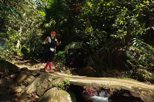 BIB: 
                            <button type="button" onclick="openModal(21746815)" class="btn btn-primary btn-sm float-right btn-popup" data-toggle="modal" data-target=".modal-high-quality">
                        <i class="fas fa-shopping-cart"></i> Add to Cart
                    </button>
                                            <button type="button" onclick="isThisMe(21746815, true)" class="btn btn-success btn-sm float-right btn-popup btn-isme hidden" data-toggle="tooltip" data-placement="bottom" title="นี่คือรูปของคุณใช่ไหม คลิกที่นี่เพื่อเอาเข้าอัลบั้ม">
                        <i class="fas fa-plus"></i> Add to album
                    </button>
                    <button type="button" onclick="isThisMe(21746815, false)" class="btn btn-warning btn-sm float-right btn-popup btn-isnotme hidden">
                        <i class="fas fa-ban"></i> Remove from album
                    </button>