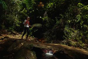 BIB: 
                            <button type="button" onclick="openModal(21749888)" class="btn btn-primary btn-sm float-right btn-popup" data-toggle="modal" data-target=".modal-high-quality">
                        <i class="fas fa-shopping-cart"></i> Add to Cart
                    </button>
                                            <button type="button" onclick="isThisMe(21749888, true)" class="btn btn-success btn-sm float-right btn-popup btn-isme hidden" data-toggle="tooltip" data-placement="bottom" title="นี่คือรูปของคุณใช่ไหม คลิกที่นี่เพื่อเอาเข้าอัลบั้ม">
                        <i class="fas fa-plus"></i> Add to album
                    </button>
                    <button type="button" onclick="isThisMe(21749888, false)" class="btn btn-warning btn-sm float-right btn-popup btn-isnotme hidden">
                        <i class="fas fa-ban"></i> Remove from album
                    </button>