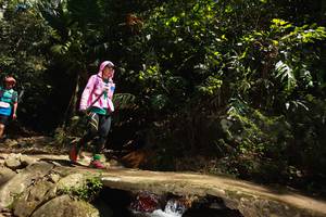 BIB: 
                            <button type="button" onclick="openModal(21745983)" class="btn btn-primary btn-sm float-right btn-popup" data-toggle="modal" data-target=".modal-high-quality">
                        <i class="fas fa-shopping-cart"></i> Add to Cart
                    </button>
                                            <button type="button" onclick="isThisMe(21745983, true)" class="btn btn-success btn-sm float-right btn-popup btn-isme hidden" data-toggle="tooltip" data-placement="bottom" title="นี่คือรูปของคุณใช่ไหม คลิกที่นี่เพื่อเอาเข้าอัลบั้ม">
                        <i class="fas fa-plus"></i> Add to album
                    </button>
                    <button type="button" onclick="isThisMe(21745983, false)" class="btn btn-warning btn-sm float-right btn-popup btn-isnotme hidden">
                        <i class="fas fa-ban"></i> Remove from album
                    </button>