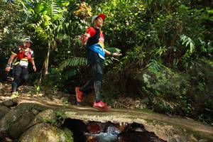 BIB: 
                            <button type="button" onclick="openModal(21737555)" class="btn btn-primary btn-sm float-right btn-popup" data-toggle="modal" data-target=".modal-high-quality">
                        <i class="fas fa-shopping-cart"></i> Add to Cart
                    </button>
                                            <button type="button" onclick="isThisMe(21737555, true)" class="btn btn-success btn-sm float-right btn-popup btn-isme hidden" data-toggle="tooltip" data-placement="bottom" title="นี่คือรูปของคุณใช่ไหม คลิกที่นี่เพื่อเอาเข้าอัลบั้ม">
                        <i class="fas fa-plus"></i> Add to album
                    </button>
                    <button type="button" onclick="isThisMe(21737555, false)" class="btn btn-warning btn-sm float-right btn-popup btn-isnotme hidden">
                        <i class="fas fa-ban"></i> Remove from album
                    </button>