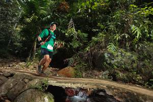 BIB: 
                            <button type="button" onclick="openModal(21750455)" class="btn btn-primary btn-sm float-right btn-popup" data-toggle="modal" data-target=".modal-high-quality">
                        <i class="fas fa-shopping-cart"></i> Add to Cart
                    </button>
                                            <button type="button" onclick="isThisMe(21750455, true)" class="btn btn-success btn-sm float-right btn-popup btn-isme hidden" data-toggle="tooltip" data-placement="bottom" title="นี่คือรูปของคุณใช่ไหม คลิกที่นี่เพื่อเอาเข้าอัลบั้ม">
                        <i class="fas fa-plus"></i> Add to album
                    </button>
                    <button type="button" onclick="isThisMe(21750455, false)" class="btn btn-warning btn-sm float-right btn-popup btn-isnotme hidden">
                        <i class="fas fa-ban"></i> Remove from album
                    </button>