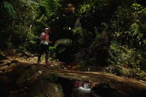 BIB: 
                            <button type="button" onclick="openModal(21749877)" class="btn btn-primary btn-sm float-right btn-popup" data-toggle="modal" data-target=".modal-high-quality">
                        <i class="fas fa-shopping-cart"></i> Add to Cart
                    </button>
                                            <button type="button" onclick="isThisMe(21749877, true)" class="btn btn-success btn-sm float-right btn-popup btn-isme hidden" data-toggle="tooltip" data-placement="bottom" title="นี่คือรูปของคุณใช่ไหม คลิกที่นี่เพื่อเอาเข้าอัลบั้ม">
                        <i class="fas fa-plus"></i> Add to album
                    </button>
                    <button type="button" onclick="isThisMe(21749877, false)" class="btn btn-warning btn-sm float-right btn-popup btn-isnotme hidden">
                        <i class="fas fa-ban"></i> Remove from album
                    </button>