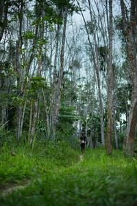 BIB: 
                            <button type="button" onclick="openModal(21829378)" class="btn btn-primary btn-sm float-right btn-popup" data-toggle="modal" data-target=".modal-high-quality">
                        <i class="fas fa-shopping-cart"></i> Add to Cart
                    </button>
                                            <button type="button" onclick="isThisMe(21829378, true)" class="btn btn-success btn-sm float-right btn-popup btn-isme hidden" data-toggle="tooltip" data-placement="bottom" title="นี่คือรูปของคุณใช่ไหม คลิกที่นี่เพื่อเอาเข้าอัลบั้ม">
                        <i class="fas fa-plus"></i> Add to album
                    </button>
                    <button type="button" onclick="isThisMe(21829378, false)" class="btn btn-warning btn-sm float-right btn-popup btn-isnotme hidden">
                        <i class="fas fa-ban"></i> Remove from album
                    </button>