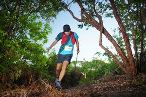 BIB: 2044
                            <button type="button" onclick="openModal(21830749)" class="btn btn-primary btn-sm float-right btn-popup" data-toggle="modal" data-target=".modal-high-quality">
                        <i class="fas fa-shopping-cart"></i> Add to Cart
                    </button>
                                            <button type="button" onclick="isThisMe(21830749, true)" class="btn btn-success btn-sm float-right btn-popup btn-isme hidden" data-toggle="tooltip" data-placement="bottom" title="นี่คือรูปของคุณใช่ไหม คลิกที่นี่เพื่อเอาเข้าอัลบั้ม">
                        <i class="fas fa-plus"></i> Add to album
                    </button>
                    <button type="button" onclick="isThisMe(21830749, false)" class="btn btn-warning btn-sm float-right btn-popup btn-isnotme hidden">
                        <i class="fas fa-ban"></i> Remove from album
                    </button>