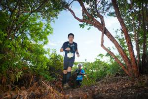 BIB: 
                            <button type="button" onclick="openModal(21831021)" class="btn btn-primary btn-sm float-right btn-popup" data-toggle="modal" data-target=".modal-high-quality">
                        <i class="fas fa-shopping-cart"></i> Add to Cart
                    </button>
                                            <button type="button" onclick="isThisMe(21831021, true)" class="btn btn-success btn-sm float-right btn-popup btn-isme hidden" data-toggle="tooltip" data-placement="bottom" title="นี่คือรูปของคุณใช่ไหม คลิกที่นี่เพื่อเอาเข้าอัลบั้ม">
                        <i class="fas fa-plus"></i> Add to album
                    </button>
                    <button type="button" onclick="isThisMe(21831021, false)" class="btn btn-warning btn-sm float-right btn-popup btn-isnotme hidden">
                        <i class="fas fa-ban"></i> Remove from album
                    </button>