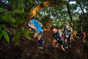 BIB: 
                            <button type="button" onclick="openModal(21870475)" class="btn btn-primary btn-sm float-right btn-popup" data-toggle="modal" data-target=".modal-high-quality">
                        <i class="fas fa-shopping-cart"></i> Add to Cart
                    </button>
                                            <button type="button" onclick="isThisMe(21870475, true)" class="btn btn-success btn-sm float-right btn-popup btn-isme hidden" data-toggle="tooltip" data-placement="bottom" title="นี่คือรูปของคุณใช่ไหม คลิกที่นี่เพื่อเอาเข้าอัลบั้ม">
                        <i class="fas fa-plus"></i> Add to album
                    </button>
                    <button type="button" onclick="isThisMe(21870475, false)" class="btn btn-warning btn-sm float-right btn-popup btn-isnotme hidden">
                        <i class="fas fa-ban"></i> Remove from album
                    </button>