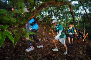 BIB: 
                            <button type="button" onclick="openModal(21875975)" class="btn btn-primary btn-sm float-right btn-popup" data-toggle="modal" data-target=".modal-high-quality">
                        <i class="fas fa-shopping-cart"></i> Add to Cart
                    </button>
                                            <button type="button" onclick="isThisMe(21875975, true)" class="btn btn-success btn-sm float-right btn-popup btn-isme hidden" data-toggle="tooltip" data-placement="bottom" title="นี่คือรูปของคุณใช่ไหม คลิกที่นี่เพื่อเอาเข้าอัลบั้ม">
                        <i class="fas fa-plus"></i> Add to album
                    </button>
                    <button type="button" onclick="isThisMe(21875975, false)" class="btn btn-warning btn-sm float-right btn-popup btn-isnotme hidden">
                        <i class="fas fa-ban"></i> Remove from album
                    </button>