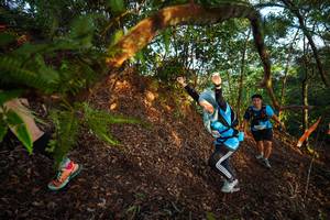 BIB: 
                            <button type="button" onclick="openModal(21869962)" class="btn btn-primary btn-sm float-right btn-popup" data-toggle="modal" data-target=".modal-high-quality">
                        <i class="fas fa-shopping-cart"></i> Add to Cart
                    </button>
                                            <button type="button" onclick="isThisMe(21869962, true)" class="btn btn-success btn-sm float-right btn-popup btn-isme hidden" data-toggle="tooltip" data-placement="bottom" title="นี่คือรูปของคุณใช่ไหม คลิกที่นี่เพื่อเอาเข้าอัลบั้ม">
                        <i class="fas fa-plus"></i> Add to album
                    </button>
                    <button type="button" onclick="isThisMe(21869962, false)" class="btn btn-warning btn-sm float-right btn-popup btn-isnotme hidden">
                        <i class="fas fa-ban"></i> Remove from album
                    </button>