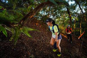 BIB: 3422
                            <button type="button" onclick="openModal(21865705)" class="btn btn-primary btn-sm float-right btn-popup" data-toggle="modal" data-target=".modal-high-quality">
                        <i class="fas fa-shopping-cart"></i> Add to Cart
                    </button>
                                            <button type="button" onclick="isThisMe(21865705, true)" class="btn btn-success btn-sm float-right btn-popup btn-isme hidden" data-toggle="tooltip" data-placement="bottom" title="นี่คือรูปของคุณใช่ไหม คลิกที่นี่เพื่อเอาเข้าอัลบั้ม">
                        <i class="fas fa-plus"></i> Add to album
                    </button>
                    <button type="button" onclick="isThisMe(21865705, false)" class="btn btn-warning btn-sm float-right btn-popup btn-isnotme hidden">
                        <i class="fas fa-ban"></i> Remove from album
                    </button>