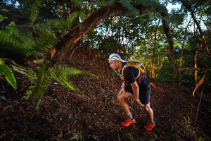 BIB: 
                            <button type="button" onclick="openModal(21865337)" class="btn btn-primary btn-sm float-right btn-popup" data-toggle="modal" data-target=".modal-high-quality">
                        <i class="fas fa-shopping-cart"></i> Add to Cart
                    </button>
                                            <button type="button" onclick="isThisMe(21865337, true)" class="btn btn-success btn-sm float-right btn-popup btn-isme hidden" data-toggle="tooltip" data-placement="bottom" title="นี่คือรูปของคุณใช่ไหม คลิกที่นี่เพื่อเอาเข้าอัลบั้ม">
                        <i class="fas fa-plus"></i> Add to album
                    </button>
                    <button type="button" onclick="isThisMe(21865337, false)" class="btn btn-warning btn-sm float-right btn-popup btn-isnotme hidden">
                        <i class="fas fa-ban"></i> Remove from album
                    </button>