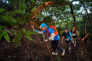 BIB: 2129
                            <button type="button" onclick="openModal(21869030)" class="btn btn-primary btn-sm float-right btn-popup" data-toggle="modal" data-target=".modal-high-quality">
                        <i class="fas fa-shopping-cart"></i> Add to Cart
                    </button>
                                            <button type="button" onclick="isThisMe(21869030, true)" class="btn btn-success btn-sm float-right btn-popup btn-isme hidden" data-toggle="tooltip" data-placement="bottom" title="นี่คือรูปของคุณใช่ไหม คลิกที่นี่เพื่อเอาเข้าอัลบั้ม">
                        <i class="fas fa-plus"></i> Add to album
                    </button>
                    <button type="button" onclick="isThisMe(21869030, false)" class="btn btn-warning btn-sm float-right btn-popup btn-isnotme hidden">
                        <i class="fas fa-ban"></i> Remove from album
                    </button>