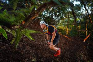 BIB: 
                            <button type="button" onclick="openModal(21865335)" class="btn btn-primary btn-sm float-right btn-popup" data-toggle="modal" data-target=".modal-high-quality">
                        <i class="fas fa-shopping-cart"></i> Add to Cart
                    </button>
                                            <button type="button" onclick="isThisMe(21865335, true)" class="btn btn-success btn-sm float-right btn-popup btn-isme hidden" data-toggle="tooltip" data-placement="bottom" title="นี่คือรูปของคุณใช่ไหม คลิกที่นี่เพื่อเอาเข้าอัลบั้ม">
                        <i class="fas fa-plus"></i> Add to album
                    </button>
                    <button type="button" onclick="isThisMe(21865335, false)" class="btn btn-warning btn-sm float-right btn-popup btn-isnotme hidden">
                        <i class="fas fa-ban"></i> Remove from album
                    </button>