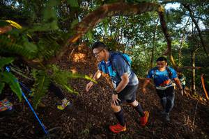 BIB: 
                            <button type="button" onclick="openModal(21871256)" class="btn btn-primary btn-sm float-right btn-popup" data-toggle="modal" data-target=".modal-high-quality">
                        <i class="fas fa-shopping-cart"></i> Add to Cart
                    </button>
                                            <button type="button" onclick="isThisMe(21871256, true)" class="btn btn-success btn-sm float-right btn-popup btn-isme hidden" data-toggle="tooltip" data-placement="bottom" title="นี่คือรูปของคุณใช่ไหม คลิกที่นี่เพื่อเอาเข้าอัลบั้ม">
                        <i class="fas fa-plus"></i> Add to album
                    </button>
                    <button type="button" onclick="isThisMe(21871256, false)" class="btn btn-warning btn-sm float-right btn-popup btn-isnotme hidden">
                        <i class="fas fa-ban"></i> Remove from album
                    </button>