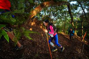 BIB: 
                            <button type="button" onclick="openModal(21870664)" class="btn btn-primary btn-sm float-right btn-popup" data-toggle="modal" data-target=".modal-high-quality">
                        <i class="fas fa-shopping-cart"></i> Add to Cart
                    </button>
                                            <button type="button" onclick="isThisMe(21870664, true)" class="btn btn-success btn-sm float-right btn-popup btn-isme hidden" data-toggle="tooltip" data-placement="bottom" title="นี่คือรูปของคุณใช่ไหม คลิกที่นี่เพื่อเอาเข้าอัลบั้ม">
                        <i class="fas fa-plus"></i> Add to album
                    </button>
                    <button type="button" onclick="isThisMe(21870664, false)" class="btn btn-warning btn-sm float-right btn-popup btn-isnotme hidden">
                        <i class="fas fa-ban"></i> Remove from album
                    </button>