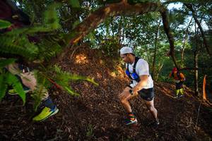 BIB: 
                            <button type="button" onclick="openModal(21871757)" class="btn btn-primary btn-sm float-right btn-popup" data-toggle="modal" data-target=".modal-high-quality">
                        <i class="fas fa-shopping-cart"></i> Add to Cart
                    </button>
                                            <button type="button" onclick="isThisMe(21871757, true)" class="btn btn-success btn-sm float-right btn-popup btn-isme hidden" data-toggle="tooltip" data-placement="bottom" title="นี่คือรูปของคุณใช่ไหม คลิกที่นี่เพื่อเอาเข้าอัลบั้ม">
                        <i class="fas fa-plus"></i> Add to album
                    </button>
                    <button type="button" onclick="isThisMe(21871757, false)" class="btn btn-warning btn-sm float-right btn-popup btn-isnotme hidden">
                        <i class="fas fa-ban"></i> Remove from album
                    </button>