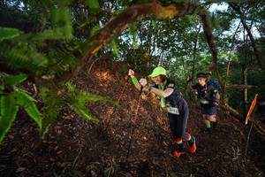 BIB: 
                            <button type="button" onclick="openModal(21873320)" class="btn btn-primary btn-sm float-right btn-popup" data-toggle="modal" data-target=".modal-high-quality">
                        <i class="fas fa-shopping-cart"></i> Add to Cart
                    </button>
                                            <button type="button" onclick="isThisMe(21873320, true)" class="btn btn-success btn-sm float-right btn-popup btn-isme hidden" data-toggle="tooltip" data-placement="bottom" title="นี่คือรูปของคุณใช่ไหม คลิกที่นี่เพื่อเอาเข้าอัลบั้ม">
                        <i class="fas fa-plus"></i> Add to album
                    </button>
                    <button type="button" onclick="isThisMe(21873320, false)" class="btn btn-warning btn-sm float-right btn-popup btn-isnotme hidden">
                        <i class="fas fa-ban"></i> Remove from album
                    </button>