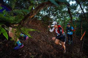 BIB: 
                            <button type="button" onclick="openModal(21866408)" class="btn btn-primary btn-sm float-right btn-popup" data-toggle="modal" data-target=".modal-high-quality">
                        <i class="fas fa-shopping-cart"></i> Add to Cart
                    </button>
                                            <button type="button" onclick="isThisMe(21866408, true)" class="btn btn-success btn-sm float-right btn-popup btn-isme hidden" data-toggle="tooltip" data-placement="bottom" title="นี่คือรูปของคุณใช่ไหม คลิกที่นี่เพื่อเอาเข้าอัลบั้ม">
                        <i class="fas fa-plus"></i> Add to album
                    </button>
                    <button type="button" onclick="isThisMe(21866408, false)" class="btn btn-warning btn-sm float-right btn-popup btn-isnotme hidden">
                        <i class="fas fa-ban"></i> Remove from album
                    </button>