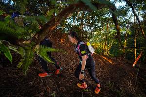 BIB: 
                            <button type="button" onclick="openModal(21865836)" class="btn btn-primary btn-sm float-right btn-popup" data-toggle="modal" data-target=".modal-high-quality">
                        <i class="fas fa-shopping-cart"></i> Add to Cart
                    </button>
                                            <button type="button" onclick="isThisMe(21865836, true)" class="btn btn-success btn-sm float-right btn-popup btn-isme hidden" data-toggle="tooltip" data-placement="bottom" title="นี่คือรูปของคุณใช่ไหม คลิกที่นี่เพื่อเอาเข้าอัลบั้ม">
                        <i class="fas fa-plus"></i> Add to album
                    </button>
                    <button type="button" onclick="isThisMe(21865836, false)" class="btn btn-warning btn-sm float-right btn-popup btn-isnotme hidden">
                        <i class="fas fa-ban"></i> Remove from album
                    </button>