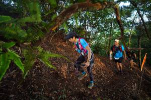 BIB: 
                            <button type="button" onclick="openModal(21877868)" class="btn btn-primary btn-sm float-right btn-popup" data-toggle="modal" data-target=".modal-high-quality">
                        <i class="fas fa-shopping-cart"></i> Add to Cart
                    </button>
                                            <button type="button" onclick="isThisMe(21877868, true)" class="btn btn-success btn-sm float-right btn-popup btn-isme hidden" data-toggle="tooltip" data-placement="bottom" title="นี่คือรูปของคุณใช่ไหม คลิกที่นี่เพื่อเอาเข้าอัลบั้ม">
                        <i class="fas fa-plus"></i> Add to album
                    </button>
                    <button type="button" onclick="isThisMe(21877868, false)" class="btn btn-warning btn-sm float-right btn-popup btn-isnotme hidden">
                        <i class="fas fa-ban"></i> Remove from album
                    </button>