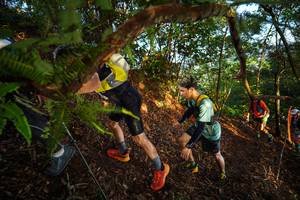 BIB: 
                            <button type="button" onclick="openModal(21871297)" class="btn btn-primary btn-sm float-right btn-popup" data-toggle="modal" data-target=".modal-high-quality">
                        <i class="fas fa-shopping-cart"></i> Add to Cart
                    </button>
                                            <button type="button" onclick="isThisMe(21871297, true)" class="btn btn-success btn-sm float-right btn-popup btn-isme hidden" data-toggle="tooltip" data-placement="bottom" title="นี่คือรูปของคุณใช่ไหม คลิกที่นี่เพื่อเอาเข้าอัลบั้ม">
                        <i class="fas fa-plus"></i> Add to album
                    </button>
                    <button type="button" onclick="isThisMe(21871297, false)" class="btn btn-warning btn-sm float-right btn-popup btn-isnotme hidden">
                        <i class="fas fa-ban"></i> Remove from album
                    </button>