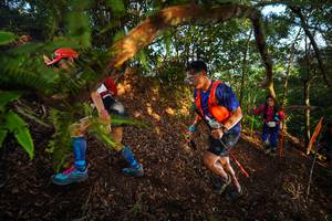 BIB: 
                            <button type="button" onclick="openModal(21870611)" class="btn btn-primary btn-sm float-right btn-popup" data-toggle="modal" data-target=".modal-high-quality">
                        <i class="fas fa-shopping-cart"></i> Add to Cart
                    </button>
                                            <button type="button" onclick="isThisMe(21870611, true)" class="btn btn-success btn-sm float-right btn-popup btn-isme hidden" data-toggle="tooltip" data-placement="bottom" title="นี่คือรูปของคุณใช่ไหม คลิกที่นี่เพื่อเอาเข้าอัลบั้ม">
                        <i class="fas fa-plus"></i> Add to album
                    </button>
                    <button type="button" onclick="isThisMe(21870611, false)" class="btn btn-warning btn-sm float-right btn-popup btn-isnotme hidden">
                        <i class="fas fa-ban"></i> Remove from album
                    </button>