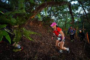 BIB: 
                            <button type="button" onclick="openModal(21867318)" class="btn btn-primary btn-sm float-right btn-popup" data-toggle="modal" data-target=".modal-high-quality">
                        <i class="fas fa-shopping-cart"></i> Add to Cart
                    </button>
                                            <button type="button" onclick="isThisMe(21867318, true)" class="btn btn-success btn-sm float-right btn-popup btn-isme hidden" data-toggle="tooltip" data-placement="bottom" title="นี่คือรูปของคุณใช่ไหม คลิกที่นี่เพื่อเอาเข้าอัลบั้ม">
                        <i class="fas fa-plus"></i> Add to album
                    </button>
                    <button type="button" onclick="isThisMe(21867318, false)" class="btn btn-warning btn-sm float-right btn-popup btn-isnotme hidden">
                        <i class="fas fa-ban"></i> Remove from album
                    </button>