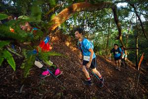 BIB: 2223
                            <button type="button" onclick="openModal(21870076)" class="btn btn-primary btn-sm float-right btn-popup" data-toggle="modal" data-target=".modal-high-quality">
                        <i class="fas fa-shopping-cart"></i> Add to Cart
                    </button>
                                            <button type="button" onclick="isThisMe(21870076, true)" class="btn btn-success btn-sm float-right btn-popup btn-isme hidden" data-toggle="tooltip" data-placement="bottom" title="นี่คือรูปของคุณใช่ไหม คลิกที่นี่เพื่อเอาเข้าอัลบั้ม">
                        <i class="fas fa-plus"></i> Add to album
                    </button>
                    <button type="button" onclick="isThisMe(21870076, false)" class="btn btn-warning btn-sm float-right btn-popup btn-isnotme hidden">
                        <i class="fas fa-ban"></i> Remove from album
                    </button>