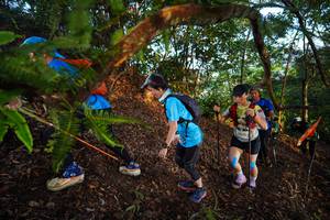 BIB: 2470
                            <button type="button" onclick="openModal(21869079)" class="btn btn-primary btn-sm float-right btn-popup" data-toggle="modal" data-target=".modal-high-quality">
                        <i class="fas fa-shopping-cart"></i> Add to Cart
                    </button>
                                            <button type="button" onclick="isThisMe(21869079, true)" class="btn btn-success btn-sm float-right btn-popup btn-isme hidden" data-toggle="tooltip" data-placement="bottom" title="นี่คือรูปของคุณใช่ไหม คลิกที่นี่เพื่อเอาเข้าอัลบั้ม">
                        <i class="fas fa-plus"></i> Add to album
                    </button>
                    <button type="button" onclick="isThisMe(21869079, false)" class="btn btn-warning btn-sm float-right btn-popup btn-isnotme hidden">
                        <i class="fas fa-ban"></i> Remove from album
                    </button>