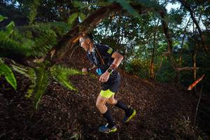 BIB: 
                            <button type="button" onclick="openModal(21865223)" class="btn btn-primary btn-sm float-right btn-popup" data-toggle="modal" data-target=".modal-high-quality">
                        <i class="fas fa-shopping-cart"></i> Add to Cart
                    </button>
                                            <button type="button" onclick="isThisMe(21865223, true)" class="btn btn-success btn-sm float-right btn-popup btn-isme hidden" data-toggle="tooltip" data-placement="bottom" title="นี่คือรูปของคุณใช่ไหม คลิกที่นี่เพื่อเอาเข้าอัลบั้ม">
                        <i class="fas fa-plus"></i> Add to album
                    </button>
                    <button type="button" onclick="isThisMe(21865223, false)" class="btn btn-warning btn-sm float-right btn-popup btn-isnotme hidden">
                        <i class="fas fa-ban"></i> Remove from album
                    </button>