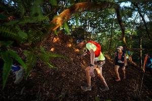 BIB: 
                            <button type="button" onclick="openModal(21870281)" class="btn btn-primary btn-sm float-right btn-popup" data-toggle="modal" data-target=".modal-high-quality">
                        <i class="fas fa-shopping-cart"></i> Add to Cart
                    </button>
                                            <button type="button" onclick="isThisMe(21870281, true)" class="btn btn-success btn-sm float-right btn-popup btn-isme hidden" data-toggle="tooltip" data-placement="bottom" title="นี่คือรูปของคุณใช่ไหม คลิกที่นี่เพื่อเอาเข้าอัลบั้ม">
                        <i class="fas fa-plus"></i> Add to album
                    </button>
                    <button type="button" onclick="isThisMe(21870281, false)" class="btn btn-warning btn-sm float-right btn-popup btn-isnotme hidden">
                        <i class="fas fa-ban"></i> Remove from album
                    </button>