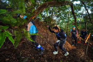 BIB: 
                            <button type="button" onclick="openModal(21879436)" class="btn btn-primary btn-sm float-right btn-popup" data-toggle="modal" data-target=".modal-high-quality">
                        <i class="fas fa-shopping-cart"></i> Add to Cart
                    </button>
                                            <button type="button" onclick="isThisMe(21879436, true)" class="btn btn-success btn-sm float-right btn-popup btn-isme hidden" data-toggle="tooltip" data-placement="bottom" title="นี่คือรูปของคุณใช่ไหม คลิกที่นี่เพื่อเอาเข้าอัลบั้ม">
                        <i class="fas fa-plus"></i> Add to album
                    </button>
                    <button type="button" onclick="isThisMe(21879436, false)" class="btn btn-warning btn-sm float-right btn-popup btn-isnotme hidden">
                        <i class="fas fa-ban"></i> Remove from album
                    </button>