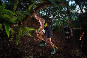 BIB: 1950
                            <button type="button" onclick="openModal(21864784)" class="btn btn-primary btn-sm float-right btn-popup" data-toggle="modal" data-target=".modal-high-quality">
                        <i class="fas fa-shopping-cart"></i> Add to Cart
                    </button>
                                            <button type="button" onclick="isThisMe(21864784, true)" class="btn btn-success btn-sm float-right btn-popup btn-isme hidden" data-toggle="tooltip" data-placement="bottom" title="นี่คือรูปของคุณใช่ไหม คลิกที่นี่เพื่อเอาเข้าอัลบั้ม">
                        <i class="fas fa-plus"></i> Add to album
                    </button>
                    <button type="button" onclick="isThisMe(21864784, false)" class="btn btn-warning btn-sm float-right btn-popup btn-isnotme hidden">
                        <i class="fas fa-ban"></i> Remove from album
                    </button>