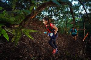 BIB: 
                            <button type="button" onclick="openModal(21866270)" class="btn btn-primary btn-sm float-right btn-popup" data-toggle="modal" data-target=".modal-high-quality">
                        <i class="fas fa-shopping-cart"></i> Add to Cart
                    </button>
                                            <button type="button" onclick="isThisMe(21866270, true)" class="btn btn-success btn-sm float-right btn-popup btn-isme hidden" data-toggle="tooltip" data-placement="bottom" title="นี่คือรูปของคุณใช่ไหม คลิกที่นี่เพื่อเอาเข้าอัลบั้ม">
                        <i class="fas fa-plus"></i> Add to album
                    </button>
                    <button type="button" onclick="isThisMe(21866270, false)" class="btn btn-warning btn-sm float-right btn-popup btn-isnotme hidden">
                        <i class="fas fa-ban"></i> Remove from album
                    </button>