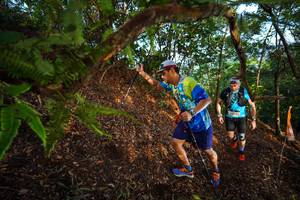 BIB: 
                            <button type="button" onclick="openModal(21872741)" class="btn btn-primary btn-sm float-right btn-popup" data-toggle="modal" data-target=".modal-high-quality">
                        <i class="fas fa-shopping-cart"></i> Add to Cart
                    </button>
                                            <button type="button" onclick="isThisMe(21872741, true)" class="btn btn-success btn-sm float-right btn-popup btn-isme hidden" data-toggle="tooltip" data-placement="bottom" title="นี่คือรูปของคุณใช่ไหม คลิกที่นี่เพื่อเอาเข้าอัลบั้ม">
                        <i class="fas fa-plus"></i> Add to album
                    </button>
                    <button type="button" onclick="isThisMe(21872741, false)" class="btn btn-warning btn-sm float-right btn-popup btn-isnotme hidden">
                        <i class="fas fa-ban"></i> Remove from album
                    </button>