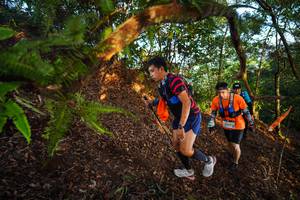 BIB: 
                            <button type="button" onclick="openModal(21869986)" class="btn btn-primary btn-sm float-right btn-popup" data-toggle="modal" data-target=".modal-high-quality">
                        <i class="fas fa-shopping-cart"></i> Add to Cart
                    </button>
                                            <button type="button" onclick="isThisMe(21869986, true)" class="btn btn-success btn-sm float-right btn-popup btn-isme hidden" data-toggle="tooltip" data-placement="bottom" title="นี่คือรูปของคุณใช่ไหม คลิกที่นี่เพื่อเอาเข้าอัลบั้ม">
                        <i class="fas fa-plus"></i> Add to album
                    </button>
                    <button type="button" onclick="isThisMe(21869986, false)" class="btn btn-warning btn-sm float-right btn-popup btn-isnotme hidden">
                        <i class="fas fa-ban"></i> Remove from album
                    </button>