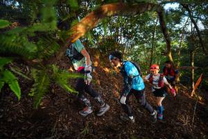 BIB: 
                            <button type="button" onclick="openModal(21870540)" class="btn btn-primary btn-sm float-right btn-popup" data-toggle="modal" data-target=".modal-high-quality">
                        <i class="fas fa-shopping-cart"></i> Add to Cart
                    </button>
                                            <button type="button" onclick="isThisMe(21870540, true)" class="btn btn-success btn-sm float-right btn-popup btn-isme hidden" data-toggle="tooltip" data-placement="bottom" title="นี่คือรูปของคุณใช่ไหม คลิกที่นี่เพื่อเอาเข้าอัลบั้ม">
                        <i class="fas fa-plus"></i> Add to album
                    </button>
                    <button type="button" onclick="isThisMe(21870540, false)" class="btn btn-warning btn-sm float-right btn-popup btn-isnotme hidden">
                        <i class="fas fa-ban"></i> Remove from album
                    </button>