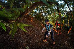 BIB: 
                            <button type="button" onclick="openModal(21865750)" class="btn btn-primary btn-sm float-right btn-popup" data-toggle="modal" data-target=".modal-high-quality">
                        <i class="fas fa-shopping-cart"></i> Add to Cart
                    </button>
                                            <button type="button" onclick="isThisMe(21865750, true)" class="btn btn-success btn-sm float-right btn-popup btn-isme hidden" data-toggle="tooltip" data-placement="bottom" title="นี่คือรูปของคุณใช่ไหม คลิกที่นี่เพื่อเอาเข้าอัลบั้ม">
                        <i class="fas fa-plus"></i> Add to album
                    </button>
                    <button type="button" onclick="isThisMe(21865750, false)" class="btn btn-warning btn-sm float-right btn-popup btn-isnotme hidden">
                        <i class="fas fa-ban"></i> Remove from album
                    </button>