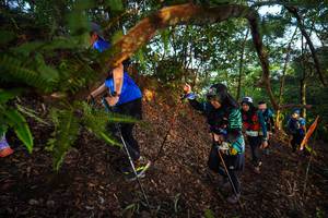 BIB: 
                            <button type="button" onclick="openModal(21869302)" class="btn btn-primary btn-sm float-right btn-popup" data-toggle="modal" data-target=".modal-high-quality">
                        <i class="fas fa-shopping-cart"></i> Add to Cart
                    </button>
                                            <button type="button" onclick="isThisMe(21869302, true)" class="btn btn-success btn-sm float-right btn-popup btn-isme hidden" data-toggle="tooltip" data-placement="bottom" title="นี่คือรูปของคุณใช่ไหม คลิกที่นี่เพื่อเอาเข้าอัลบั้ม">
                        <i class="fas fa-plus"></i> Add to album
                    </button>
                    <button type="button" onclick="isThisMe(21869302, false)" class="btn btn-warning btn-sm float-right btn-popup btn-isnotme hidden">
                        <i class="fas fa-ban"></i> Remove from album
                    </button>