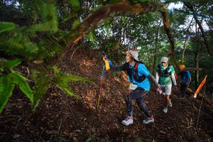 BIB: 
                            <button type="button" onclick="openModal(21875621)" class="btn btn-primary btn-sm float-right btn-popup" data-toggle="modal" data-target=".modal-high-quality">
                        <i class="fas fa-shopping-cart"></i> Add to Cart
                    </button>
                                            <button type="button" onclick="isThisMe(21875621, true)" class="btn btn-success btn-sm float-right btn-popup btn-isme hidden" data-toggle="tooltip" data-placement="bottom" title="นี่คือรูปของคุณใช่ไหม คลิกที่นี่เพื่อเอาเข้าอัลบั้ม">
                        <i class="fas fa-plus"></i> Add to album
                    </button>
                    <button type="button" onclick="isThisMe(21875621, false)" class="btn btn-warning btn-sm float-right btn-popup btn-isnotme hidden">
                        <i class="fas fa-ban"></i> Remove from album
                    </button>