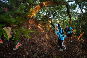 BIB: 
                            <button type="button" onclick="openModal(21869951)" class="btn btn-primary btn-sm float-right btn-popup" data-toggle="modal" data-target=".modal-high-quality">
                        <i class="fas fa-shopping-cart"></i> Add to Cart
                    </button>
                                            <button type="button" onclick="isThisMe(21869951, true)" class="btn btn-success btn-sm float-right btn-popup btn-isme hidden" data-toggle="tooltip" data-placement="bottom" title="นี่คือรูปของคุณใช่ไหม คลิกที่นี่เพื่อเอาเข้าอัลบั้ม">
                        <i class="fas fa-plus"></i> Add to album
                    </button>
                    <button type="button" onclick="isThisMe(21869951, false)" class="btn btn-warning btn-sm float-right btn-popup btn-isnotme hidden">
                        <i class="fas fa-ban"></i> Remove from album
                    </button>