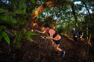 BIB: 
                            <button type="button" onclick="openModal(21870409)" class="btn btn-primary btn-sm float-right btn-popup" data-toggle="modal" data-target=".modal-high-quality">
                        <i class="fas fa-shopping-cart"></i> Add to Cart
                    </button>
                                            <button type="button" onclick="isThisMe(21870409, true)" class="btn btn-success btn-sm float-right btn-popup btn-isme hidden" data-toggle="tooltip" data-placement="bottom" title="นี่คือรูปของคุณใช่ไหม คลิกที่นี่เพื่อเอาเข้าอัลบั้ม">
                        <i class="fas fa-plus"></i> Add to album
                    </button>
                    <button type="button" onclick="isThisMe(21870409, false)" class="btn btn-warning btn-sm float-right btn-popup btn-isnotme hidden">
                        <i class="fas fa-ban"></i> Remove from album
                    </button>