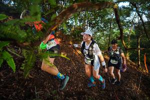 BIB: 143, 2406
                            <button type="button" onclick="openModal(21871351)" class="btn btn-primary btn-sm float-right btn-popup" data-toggle="modal" data-target=".modal-high-quality">
                        <i class="fas fa-shopping-cart"></i> Add to Cart
                    </button>
                                            <button type="button" onclick="isThisMe(21871351, true)" class="btn btn-success btn-sm float-right btn-popup btn-isme hidden" data-toggle="tooltip" data-placement="bottom" title="นี่คือรูปของคุณใช่ไหม คลิกที่นี่เพื่อเอาเข้าอัลบั้ม">
                        <i class="fas fa-plus"></i> Add to album
                    </button>
                    <button type="button" onclick="isThisMe(21871351, false)" class="btn btn-warning btn-sm float-right btn-popup btn-isnotme hidden">
                        <i class="fas fa-ban"></i> Remove from album
                    </button>