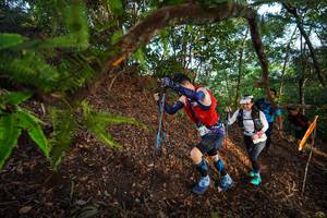 BIB: 
                            <button type="button" onclick="openModal(21878907)" class="btn btn-primary btn-sm float-right btn-popup" data-toggle="modal" data-target=".modal-high-quality">
                        <i class="fas fa-shopping-cart"></i> Add to Cart
                    </button>
                                            <button type="button" onclick="isThisMe(21878907, true)" class="btn btn-success btn-sm float-right btn-popup btn-isme hidden" data-toggle="tooltip" data-placement="bottom" title="นี่คือรูปของคุณใช่ไหม คลิกที่นี่เพื่อเอาเข้าอัลบั้ม">
                        <i class="fas fa-plus"></i> Add to album
                    </button>
                    <button type="button" onclick="isThisMe(21878907, false)" class="btn btn-warning btn-sm float-right btn-popup btn-isnotme hidden">
                        <i class="fas fa-ban"></i> Remove from album
                    </button>