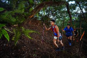 BIB: 
                            <button type="button" onclick="openModal(21866661)" class="btn btn-primary btn-sm float-right btn-popup" data-toggle="modal" data-target=".modal-high-quality">
                        <i class="fas fa-shopping-cart"></i> Add to Cart
                    </button>
                                            <button type="button" onclick="isThisMe(21866661, true)" class="btn btn-success btn-sm float-right btn-popup btn-isme hidden" data-toggle="tooltip" data-placement="bottom" title="นี่คือรูปของคุณใช่ไหม คลิกที่นี่เพื่อเอาเข้าอัลบั้ม">
                        <i class="fas fa-plus"></i> Add to album
                    </button>
                    <button type="button" onclick="isThisMe(21866661, false)" class="btn btn-warning btn-sm float-right btn-popup btn-isnotme hidden">
                        <i class="fas fa-ban"></i> Remove from album
                    </button>