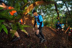 BIB: 268
                            <button type="button" onclick="openModal(21870030)" class="btn btn-primary btn-sm float-right btn-popup" data-toggle="modal" data-target=".modal-high-quality">
                        <i class="fas fa-shopping-cart"></i> Add to Cart
                    </button>
                                            <button type="button" onclick="isThisMe(21870030, true)" class="btn btn-success btn-sm float-right btn-popup btn-isme hidden" data-toggle="tooltip" data-placement="bottom" title="นี่คือรูปของคุณใช่ไหม คลิกที่นี่เพื่อเอาเข้าอัลบั้ม">
                        <i class="fas fa-plus"></i> Add to album
                    </button>
                    <button type="button" onclick="isThisMe(21870030, false)" class="btn btn-warning btn-sm float-right btn-popup btn-isnotme hidden">
                        <i class="fas fa-ban"></i> Remove from album
                    </button>