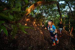 BIB: 
                            <button type="button" onclick="openModal(21870343)" class="btn btn-primary btn-sm float-right btn-popup" data-toggle="modal" data-target=".modal-high-quality">
                        <i class="fas fa-shopping-cart"></i> Add to Cart
                    </button>
                                            <button type="button" onclick="isThisMe(21870343, true)" class="btn btn-success btn-sm float-right btn-popup btn-isme hidden" data-toggle="tooltip" data-placement="bottom" title="นี่คือรูปของคุณใช่ไหม คลิกที่นี่เพื่อเอาเข้าอัลบั้ม">
                        <i class="fas fa-plus"></i> Add to album
                    </button>
                    <button type="button" onclick="isThisMe(21870343, false)" class="btn btn-warning btn-sm float-right btn-popup btn-isnotme hidden">
                        <i class="fas fa-ban"></i> Remove from album
                    </button>