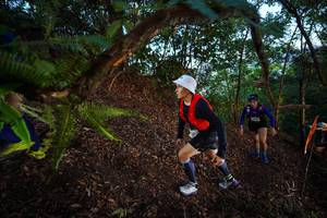 BIB: 
                            <button type="button" onclick="openModal(21866400)" class="btn btn-primary btn-sm float-right btn-popup" data-toggle="modal" data-target=".modal-high-quality">
                        <i class="fas fa-shopping-cart"></i> Add to Cart
                    </button>
                                            <button type="button" onclick="isThisMe(21866400, true)" class="btn btn-success btn-sm float-right btn-popup btn-isme hidden" data-toggle="tooltip" data-placement="bottom" title="นี่คือรูปของคุณใช่ไหม คลิกที่นี่เพื่อเอาเข้าอัลบั้ม">
                        <i class="fas fa-plus"></i> Add to album
                    </button>
                    <button type="button" onclick="isThisMe(21866400, false)" class="btn btn-warning btn-sm float-right btn-popup btn-isnotme hidden">
                        <i class="fas fa-ban"></i> Remove from album
                    </button>