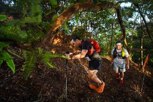 BIB: 
                            <button type="button" onclick="openModal(21870946)" class="btn btn-primary btn-sm float-right btn-popup" data-toggle="modal" data-target=".modal-high-quality">
                        <i class="fas fa-shopping-cart"></i> Add to Cart
                    </button>
                                            <button type="button" onclick="isThisMe(21870946, true)" class="btn btn-success btn-sm float-right btn-popup btn-isme hidden" data-toggle="tooltip" data-placement="bottom" title="นี่คือรูปของคุณใช่ไหม คลิกที่นี่เพื่อเอาเข้าอัลบั้ม">
                        <i class="fas fa-plus"></i> Add to album
                    </button>
                    <button type="button" onclick="isThisMe(21870946, false)" class="btn btn-warning btn-sm float-right btn-popup btn-isnotme hidden">
                        <i class="fas fa-ban"></i> Remove from album
                    </button>